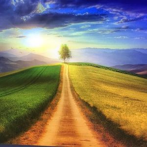 Meet your Posher, Kole